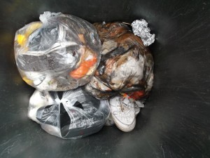 Lauras alte Chucks kamen wieder zum Vorschein.