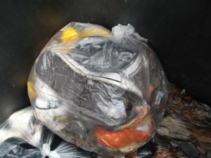 Wie Lauras totgelatschte Lieblinge jetzt wohl im Küchendreck aussehen würden?