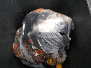 Endlich geht es an den fetten Küchenmüllbeutel mit den drei Paaren!