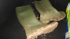 ungefähr 1/2 jahr alt, ca. 210 Stunden getragen