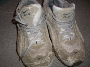 die waren in einer Nike Mülltüte aber nur mit papiermüll, absolut saubergeblieben