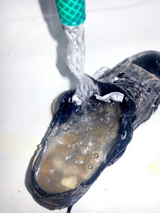 20130507_204120_1.JPG