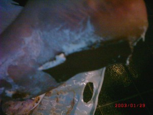 DSCK0006.JPG