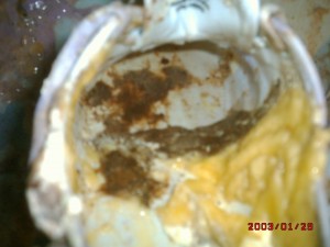 DSCK0d017.JPG