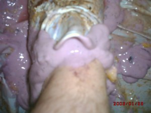DSCK0028.JPG