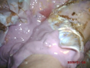 DSCK0029.JPG