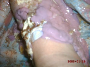 DSCK0030.JPG