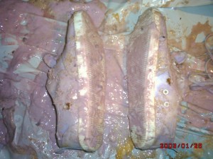 DSCK0045.JPG