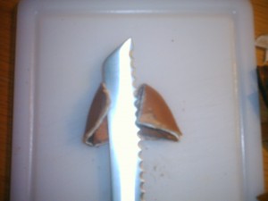 DSCK0046.JPG