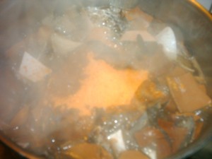 DSCK0055.JPG