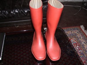 phoenix-spermuell1.JPG (187.37 KiB) 8760 mal betrachtet rote phoenix von sperrmüll