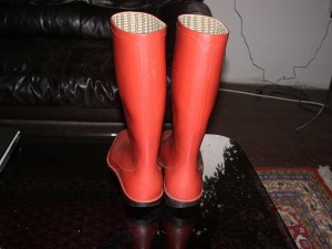 phoenix-sperrmuell3.JPG (176.82 KiB) 8752 mal betrachtet vom sperrmüll, kaputt, sohle durch, absätze schief abgelaufen