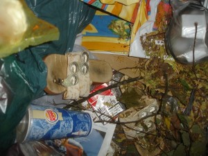 0DSC06719.JPG (143.32 KiB) 13154 mal betrachtet vermüllte Latschen am Tonnenboden