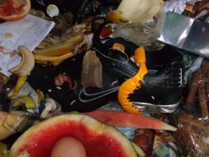 Müll0613 532.jpg (293.2 KiB) 7988 mal betrachtet Der Shox ist nicht mehr wert wie die Wurstpelle und der labberige Teebeutel.