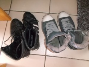 Müll0613 011.jpg (269.06 KiB) 4199 mal betrachtet Lauras eben gerade zum Müll verurteilte Lieblinge warten auf freie "Entsorgungskapazitäten".