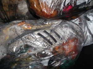 Erschreckend: Die schönen Laufschuhe waren sauber in den Müll geworfen worden und sahen schon &quot;so&quot; aus!