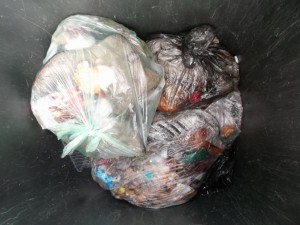 Unsere Mülltonne erst zu einem Viertel voll und schon zwei Paar Schuhe drin!
