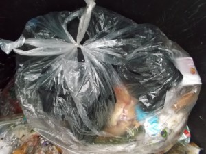 Für Anja und mich ein schwer erträglicher Gedanke, dass nun ihre Lieblinge im Müll lagen. Aber sie hat es doch getan!