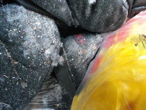 Eben noch stand der UGG-Stiefel aufrecht und nun ein platt gedrücktes Häufchen Ekelmüll - schon fast im Dreck versunken.