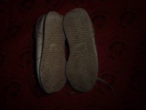 CIMG0966.JPG