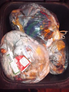 In der Nacht öffnete ich den Mülltonnendeckel unser schon am Straßenrand zur Leerung bereitstehenden Restmülltonne und da blickte ich auf ganz normalen Hausmüll. Man hätte dran vorbeigehen können, aber ich wusste es ja besser!