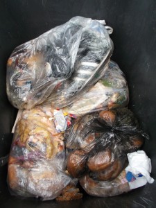 Müll0613 144.jpg (336.87 KiB) 5551 mal betrachtet Endlich: Nach einem Monat lag der Küchenmüllbeutel in unserer Mülltonne!