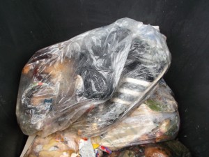 Müll0613 145.jpg (277.45 KiB) 5562 mal betrachtet Seit gut fünf Wochen lagen Lauras Boxerstiefelchen nun im Küchenmüll!