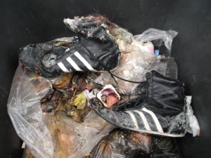 Müll0613 147.jpg (310.73 KiB) 5866 mal betrachtet Abgestorbene Madenlarven klebten auch am Vorfußbereich des einen Sneakers.