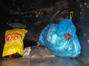 In ein paar Tagen wäre die ganze Müllbrühe aus den Küchenmüllbeuteln dort eingesickert.