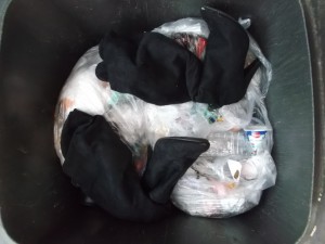 Ich rette die Opfer eines Zickenkriegs! Eine wie sich einige Stunden später festellte, weise Entscheidung!