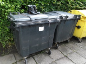 Müll0613 449.jpg (306.61 KiB) 6235 mal betrachtet Da lohnt ein genauerer Blick!