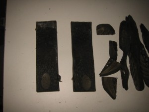 IMG_7002.jpg