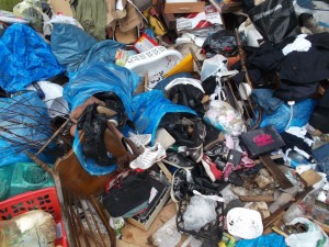 Müll0613 469.jpg (326.42 KiB) 10817 mal betrachtet Zuerst warf sie kleine Mülltüten, sogar Müllbeutel mit Hygieneabfall und Badabfällen und einen Küchenmüllbeutel mit Schwung auf die Müllhalde. Allerlei Zeug rutschte aus den nicht verknoteten Tüten. ob sie eine Kontrolle durch den Deponiearbeiter vermutete?