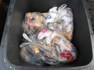 Müll0813 069.jpg (287.48 KiB) 6257 mal betrachtet Das stinkende, aber immerhin weiche "Totenbett" für den kommenden Frauenmüll war "gemacht".