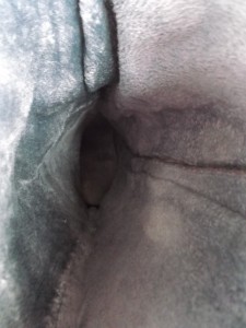Müll0813 079.jpg (286.28 KiB) 6257 mal betrachtet So schön kuschelweich, aber alles nur noch wertloser Müll! Vielleicht werden hier bald die Maden drin spazieren gehen und die "Heiligen Hallen" erkunden?!