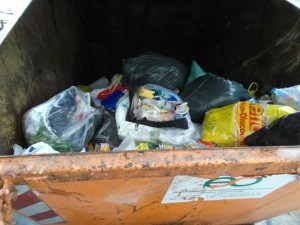 Geil! Ein Großmüllcontainer nur für Hausmüll!
