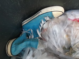 Seine neue Freundin hat sich hier in unserer Hausgemeinschaft echt &quot;gut eingeführt&quot;. Herzlich Willkommen bei uns! Grins!