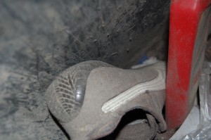 Letztes Erinnerungsfoto vor der MVA.