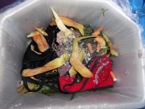 Müll0813 255.jpg (299.28 KiB) 5239 mal betrachtet Eben noch haben die sexy Lumpchen die geilsten Stellen von Lauras Körper eingehüllt und nun versinken sie schon im Dreck.