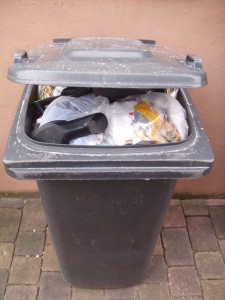 Anja02 071.jpg (197.73 KiB) 10452 mal betrachtet Ich sah am nächsten Tag unsere Mülltonne und ahnte schon, dass weitere Opfer auf ihr schmutziges Schicksal warteten.