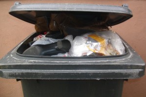 Anja02 074.jpg (301.32 KiB) 10452 mal betrachtet Klasse! Schon wieder stand der Mülltonnendeckel offen.