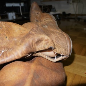 P1030334.JPG