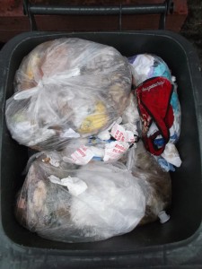 Endlich ist unsere Mülltonne bereit gewesen, um an den Straßenrand zur Müllabfuhr gestellt zu werden. Das war aber auch einen Haufen Arbeit. Dafür müsste ich eigentlich eine &quot;Schmutzzulage&quot; erhalten. Grins!