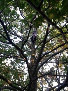 20131001_173612.jpg (146.74 KiB) 15675 mal betrachtet ahh, das Oberteil hängt noch oben. Gut