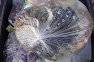 Jessica02 004.jpg (293.51 KiB) 10398 mal betrachtet Unsere Mülltonne stand schon bereit zur Müllabfuhr, als noch Lauras Winterchucks in einem siffigen Küchenmüllbeutel obenauf kamen.