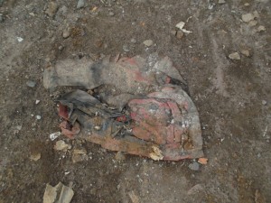 Müll0813 198.jpg (269.61 KiB) 10834 mal betrachtet Zuerst kaum zu identifizieren.