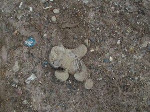 Müll0813 201.jpg (277.63 KiB) 10810 mal betrachtet Was für ein böser Anblick! Ein Kuschelstofftier war das mal!