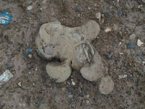 Müll0813 202.jpg (281.19 KiB) 10810 mal betrachtet Wie macht man ein Kind zum Dauerpatienten beim Kinderpsychologen?: Man zeigt ihm dieses Foto wenn es eines seiner geliebten Stofftiere schmerzlich vermisst und erzählt ihm, dass man es ohne sein Wissen hinterhältig in die Mülltonne geworfen hat und es genauso wie dieses enden musste. Bööse!