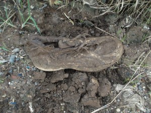 Müll0813 204.jpg (284.12 KiB) 10810 mal betrachtet Also wie den Buffalo aus dem Dreck puhlen um den Fund zu identifizieren.
