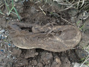 Müll0813 205.jpg (295.94 KiB) 10962 mal betrachtet Ein Saucony-Laufschuh in etwa meiner Größe. Da war ich doch etwas erschüttert wie verrottet der schon war. Außerdem erinnerte er mich daran, endlich mal wieder einen Teil meines Tragebestandes auszurangieren und zu vermüllen, denn manche meiner Schuhe gehören unbedingt in den Müll!